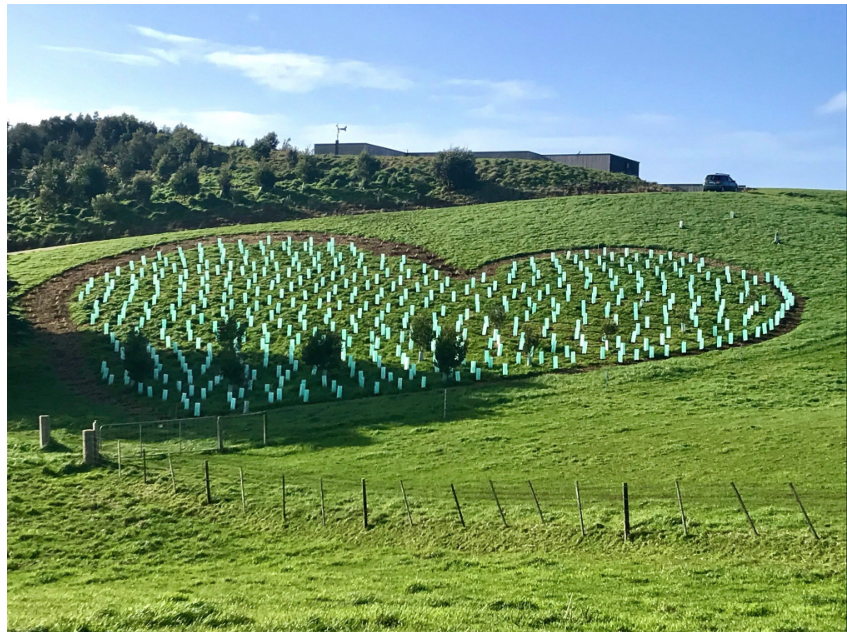 Tree planting for Hobart Airport in Wynyard, North Tasmania. Hundreds of trees were planted in the shape of a heart.