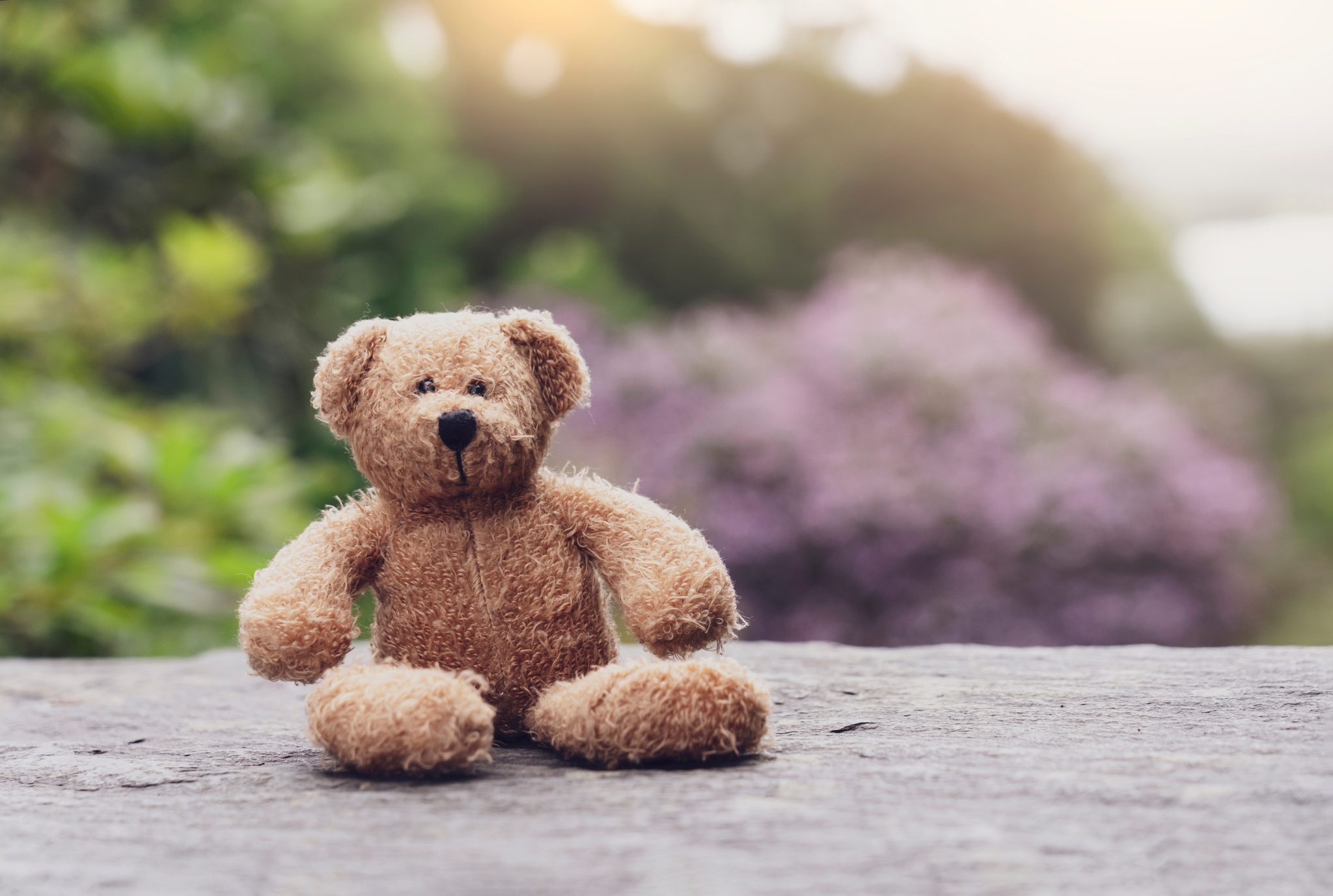 Teddy,Bear,Sitting,On,Footpath,With,Blurry,Natural,Background,